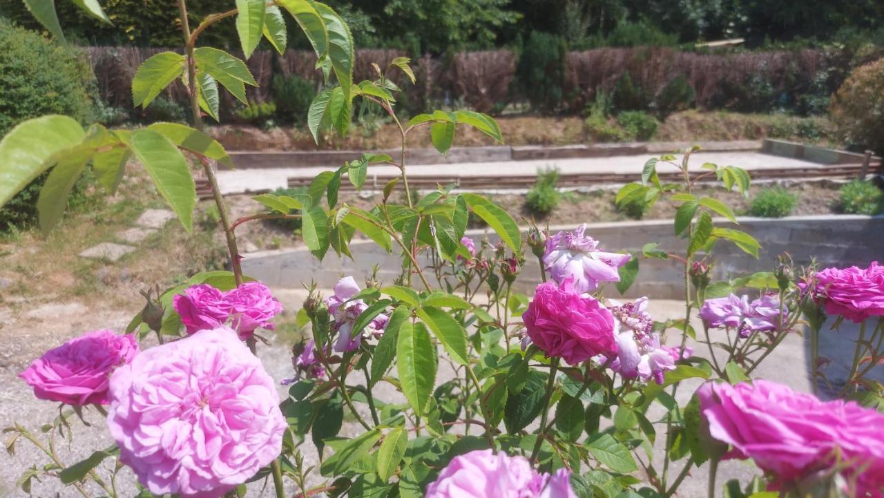 Homestay L'ecureuil Roux Motteville